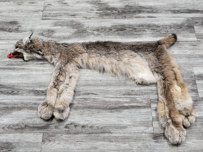 Peau - Lynx #0000890