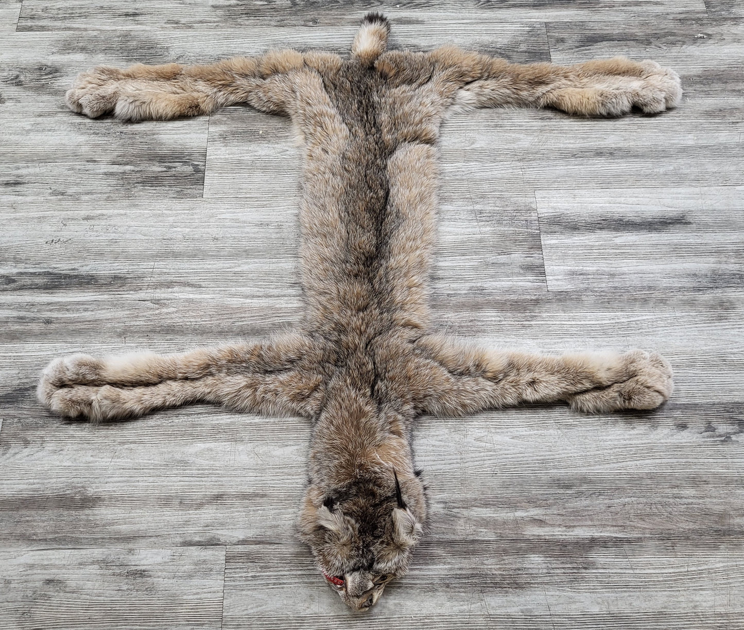 Peau - Lynx #0000890