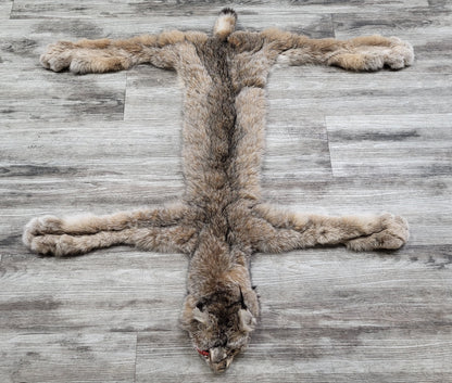 Peau - Lynx #0000890