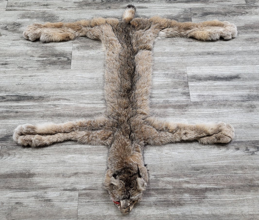 Peau - Lynx #0000890