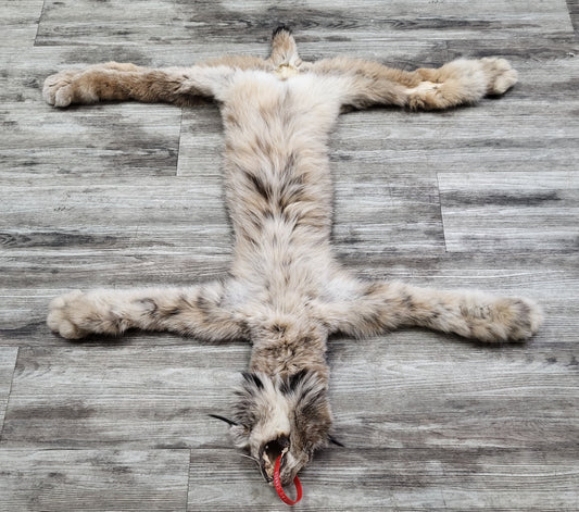 Peau - Lynx #0000890