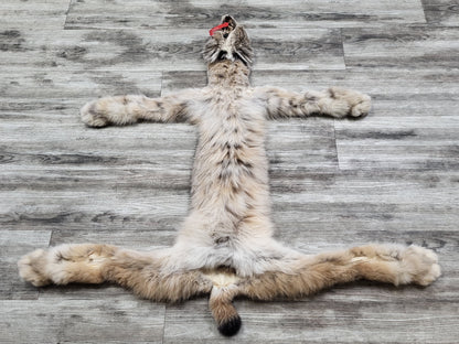Peau - Lynx #0000890