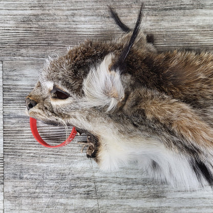 Peau - Lynx #0000890
