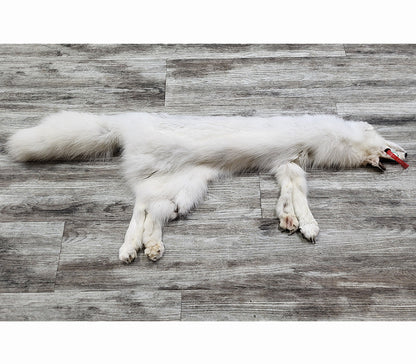 PEAU - RENARD ARCTIQUE #0000813