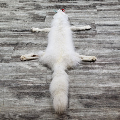 PEAU - RENARD ARCTIQUE #0000813