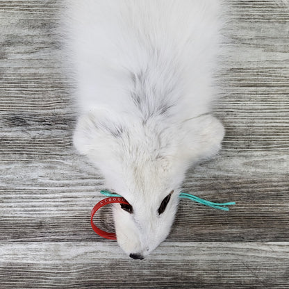 PEAU - RENARD ARCTIQUE #0000813