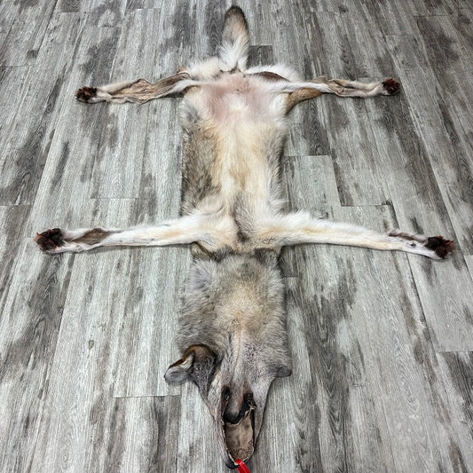 Peau - Loup des bois #0001048