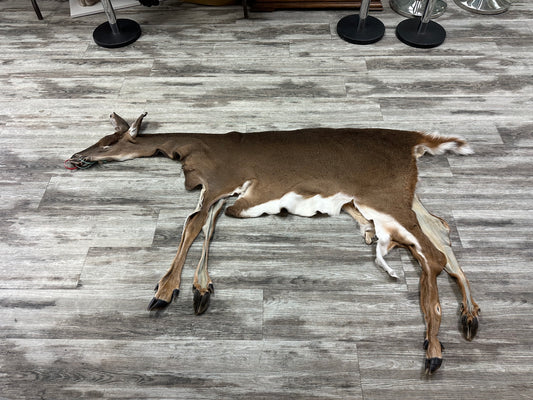 Peau - Chevreuil #0001086