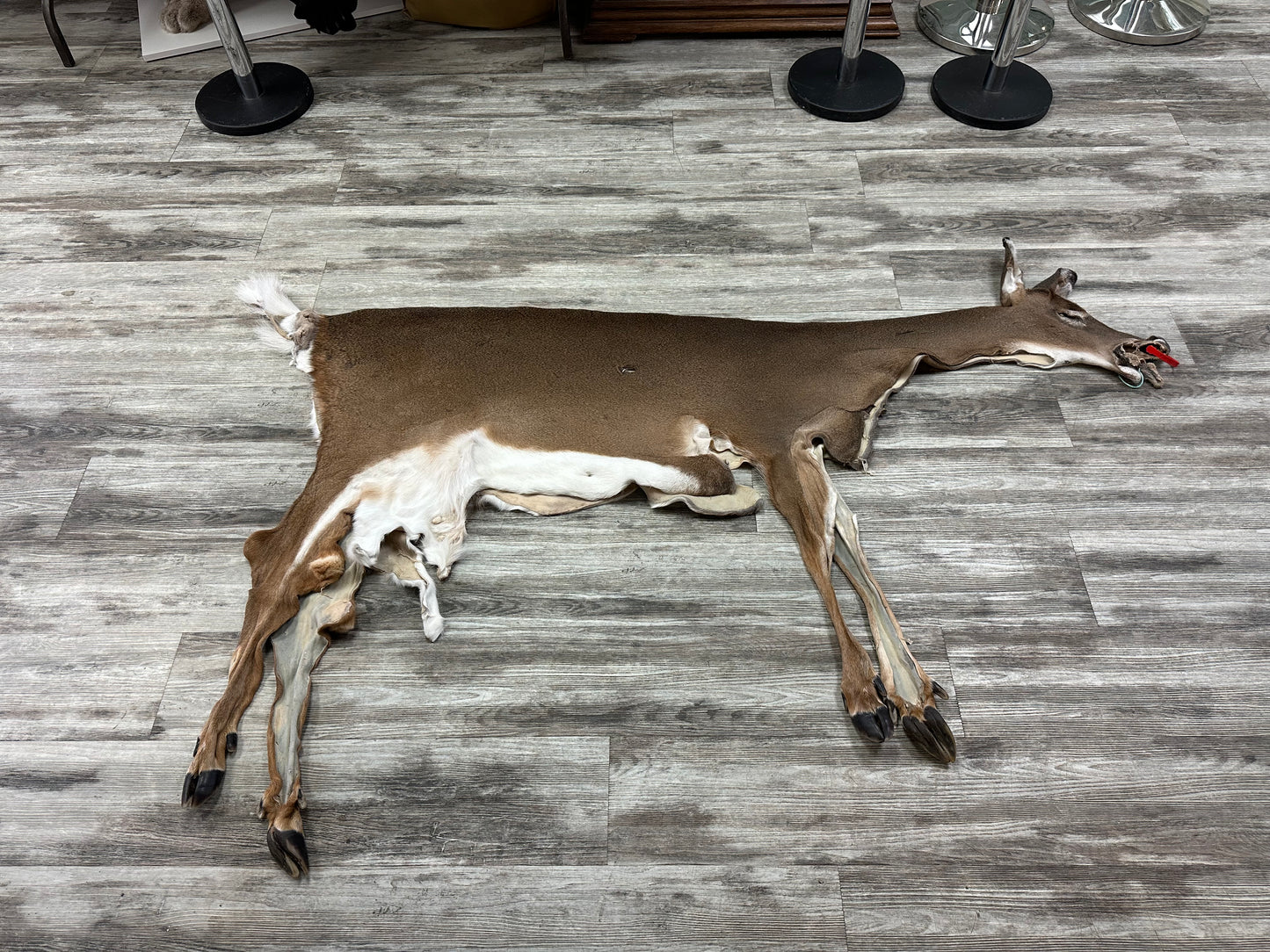 Peau - Chevreuil #0001086