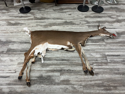 Peau - Chevreuil #0001086