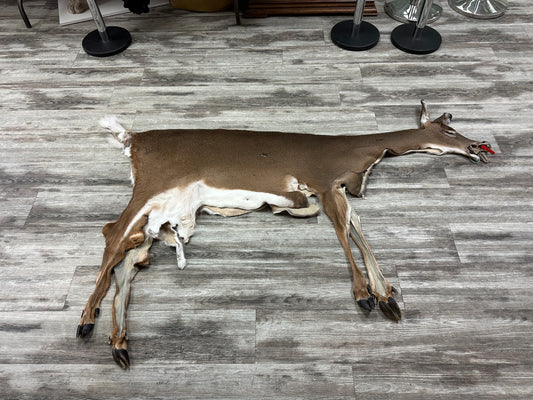 Peau - Chevreuil #0001086