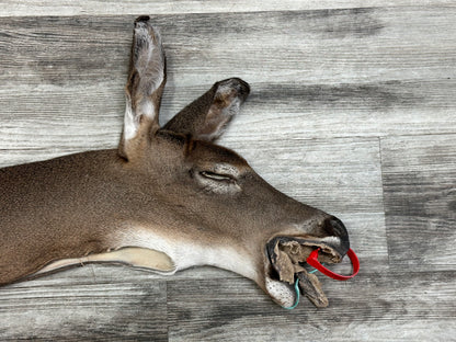 Peau - Chevreuil #0001086