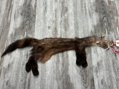 Peau - Martre #0001090