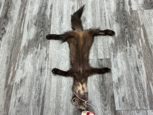 Peau - Martre #0001090