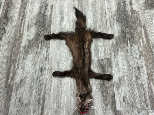 Peau - Martre #0001090