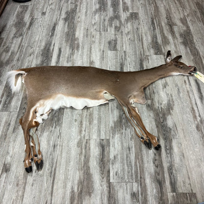 Peau - Chevreuil #0001096