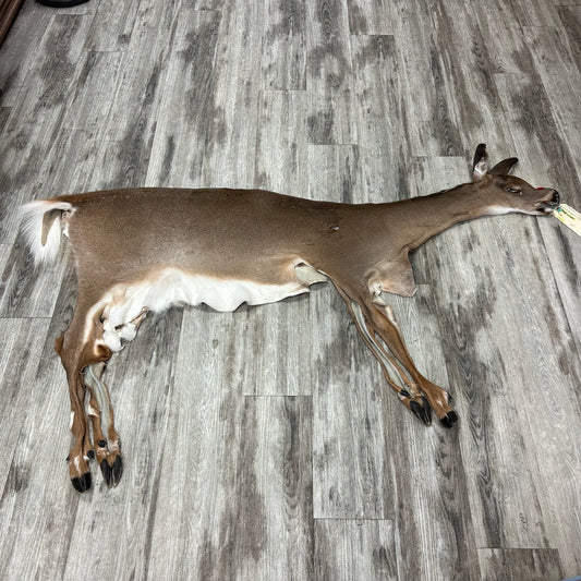 Peau - Chevreuil #0001096