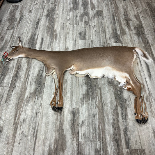 Peau - Chevreuil #0001096