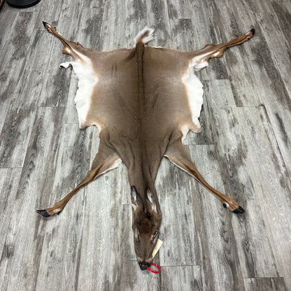 Peau - Chevreuil #0001096