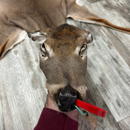 Peau - Chevreuil #0001096