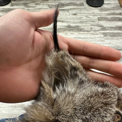 Peau - Lynx #0001115