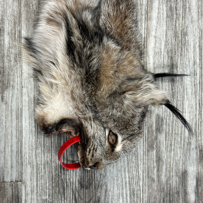 Peau - Lynx #0001115