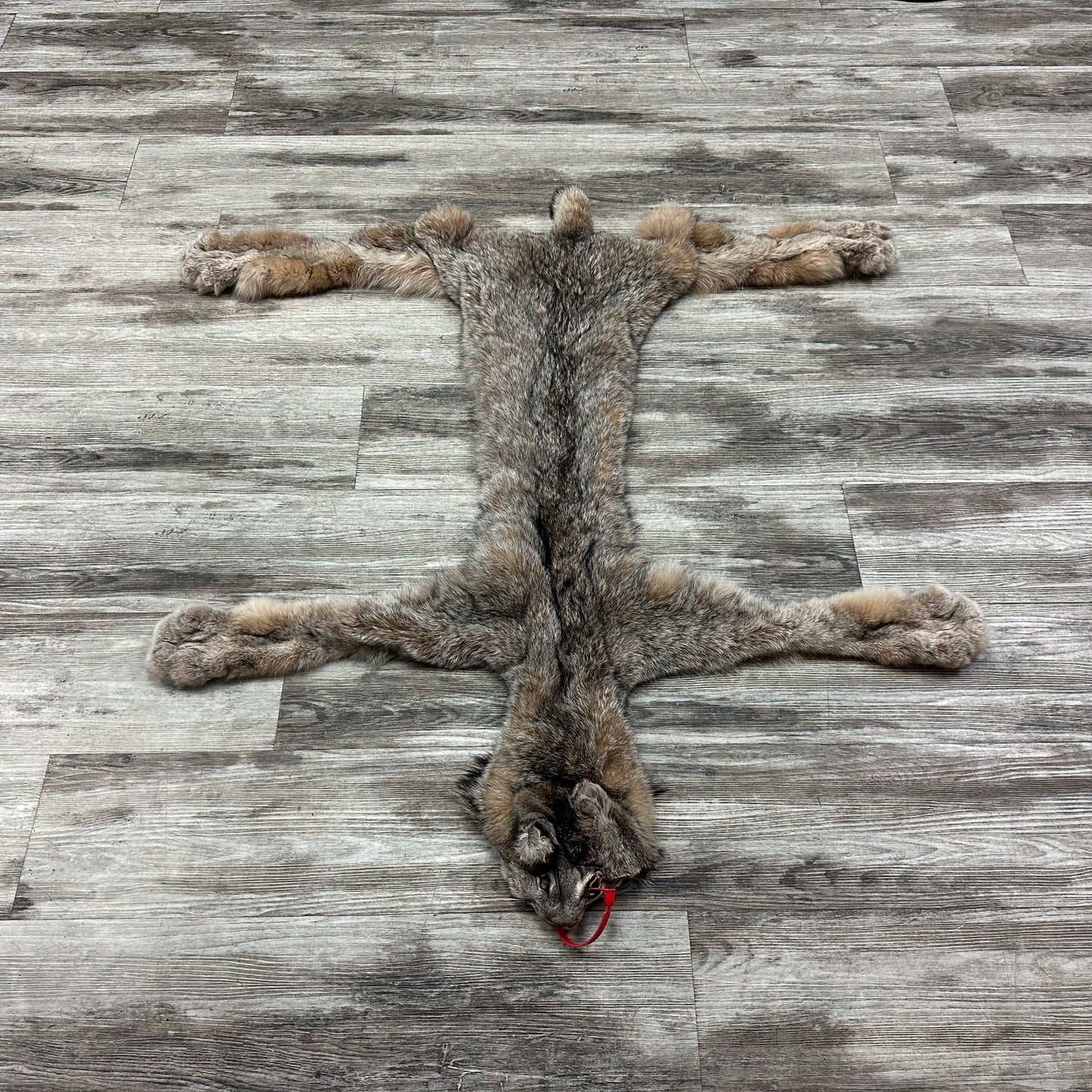 Peau - Lynx #0001115