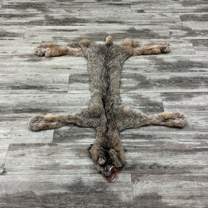 Peau - Lynx #0001115