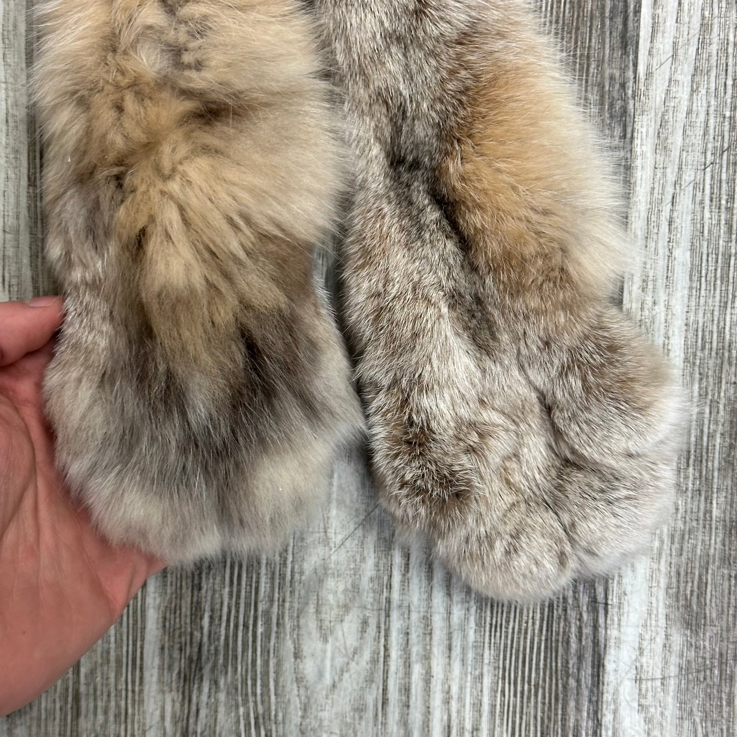 Peau - Lynx #0001115