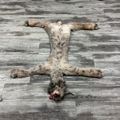 Peau - Lynx #0001115
