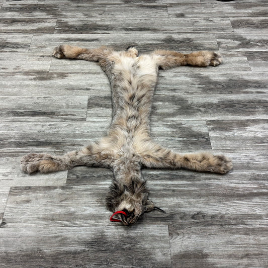 Peau - Lynx #0001115