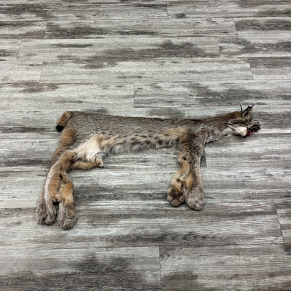 Peau - Lynx #0001119