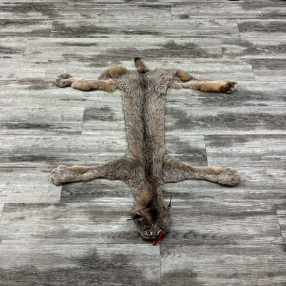 Peau - Lynx #0001119