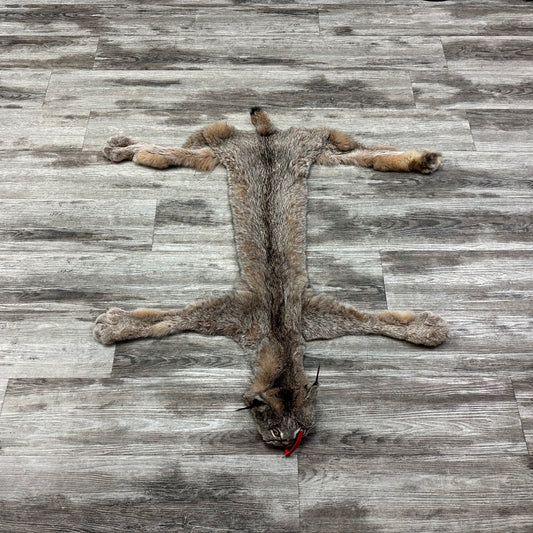 Peau - Lynx #0001119