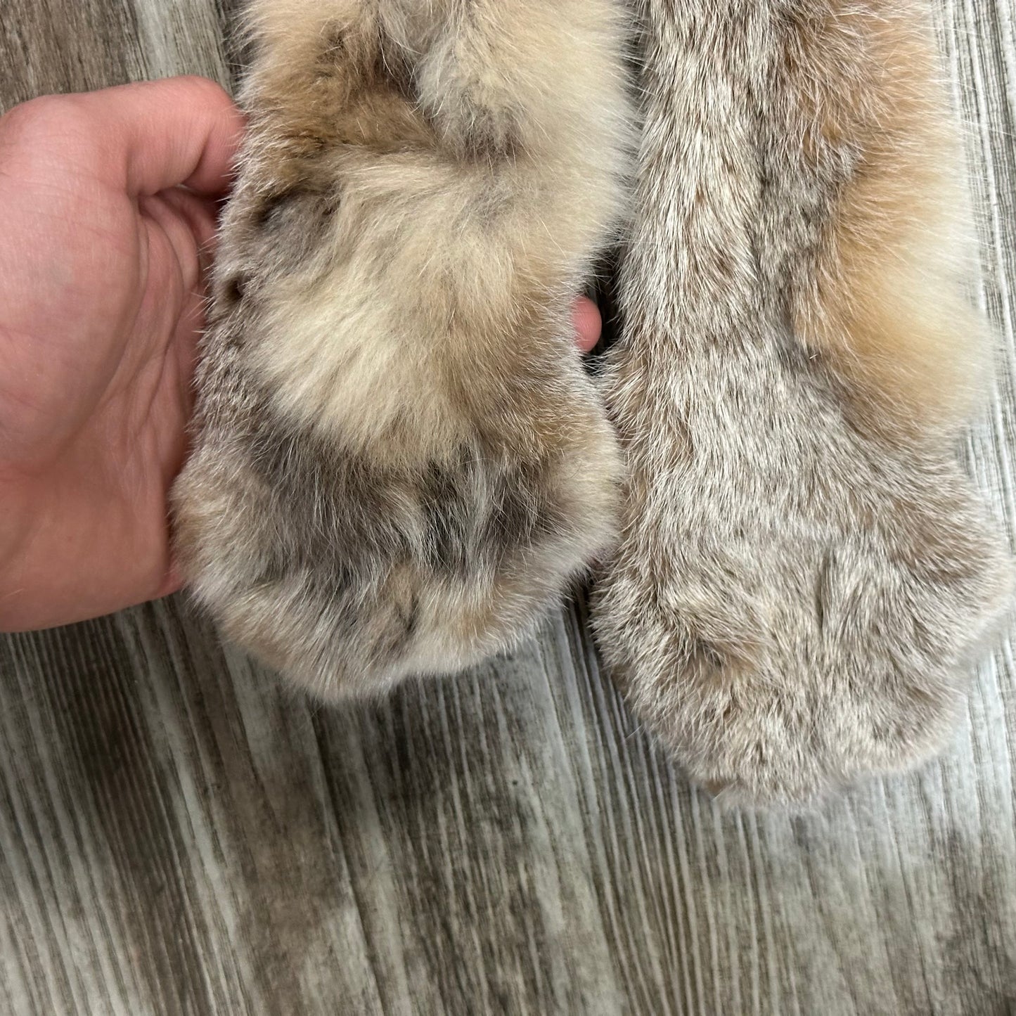 Peau - Lynx #0001119
