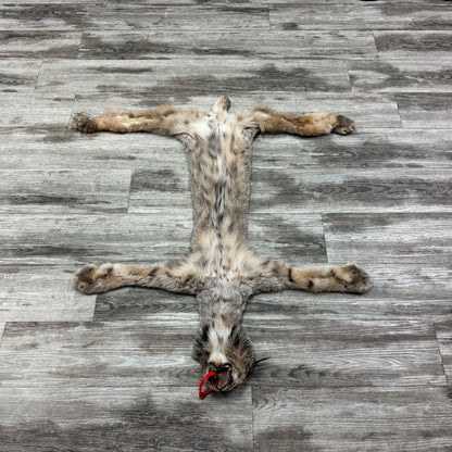 Peau - Lynx #0001119