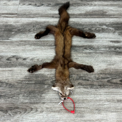 Peau - Martre #0001128