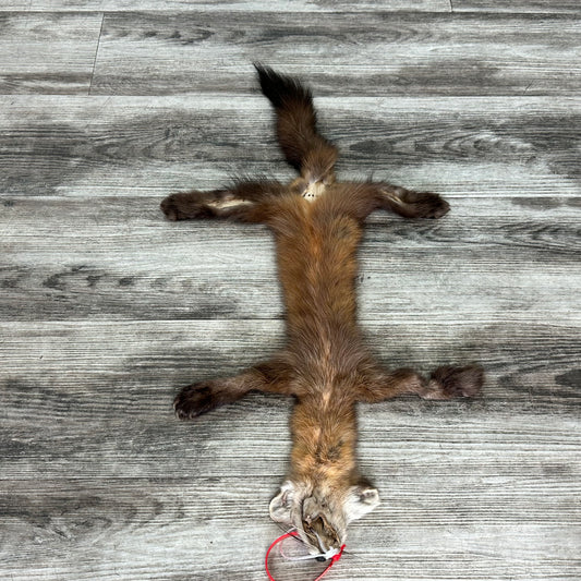 Peau - Martre #0001128