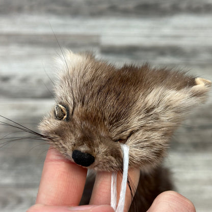 Peau - Martre #0001130