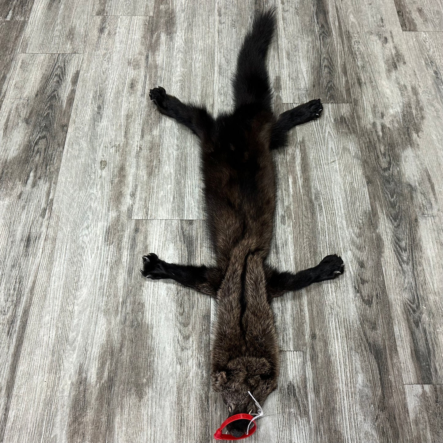 Peau - Pekan #0001145