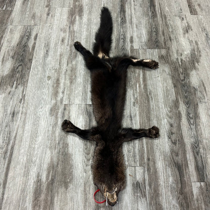 Peau - Pekan #0001145