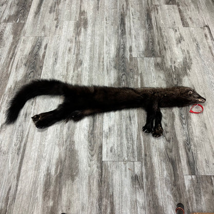 Peau - Pekan #0001145