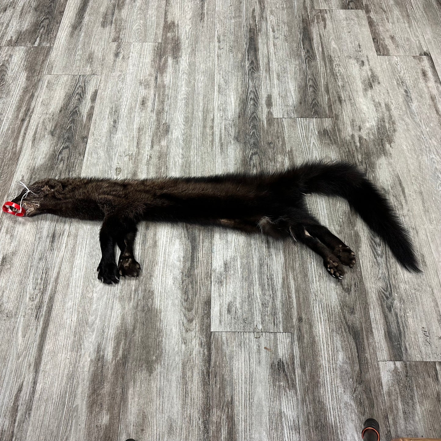 Peau - Pekan #0001145