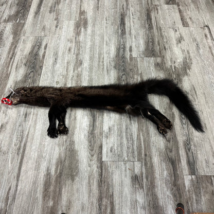 Peau - Pekan #0001145