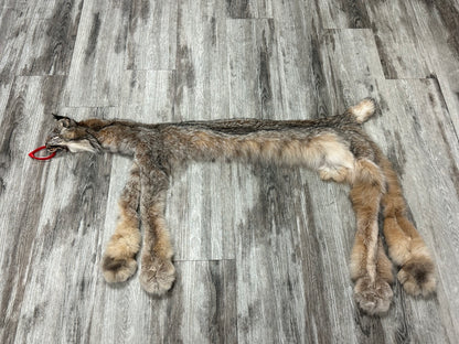 Peau - Lynx #0001154