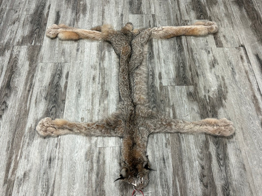 Peau - Lynx #0001154