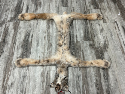 Peau - Lynx #0001154