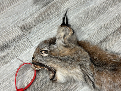 Peau - Lynx #0001154