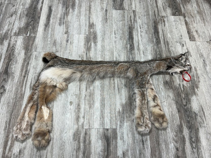 Peau - Lynx #0001158
