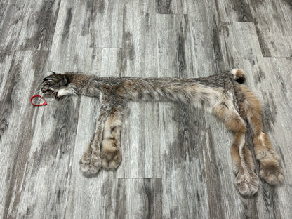 Peau - Lynx #0001158